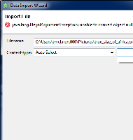 CI data import wizard Error.png