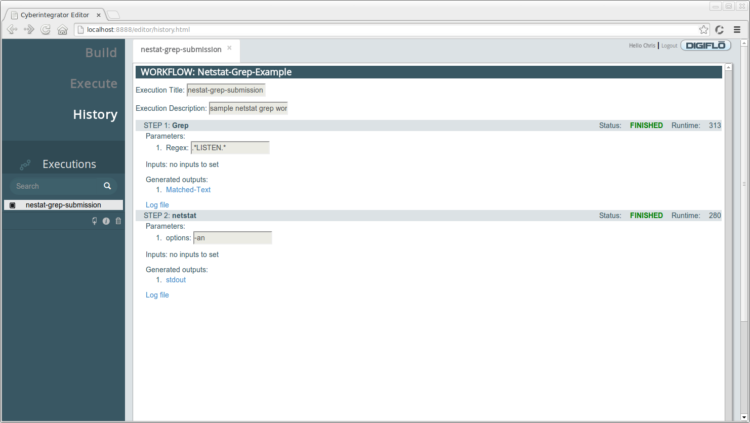 Workflow execution information.